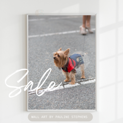 Charming Canine Couture: Fashionably Dressed Dog and Owner Print